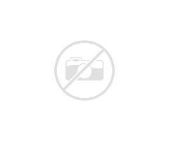 1xBet Clone App