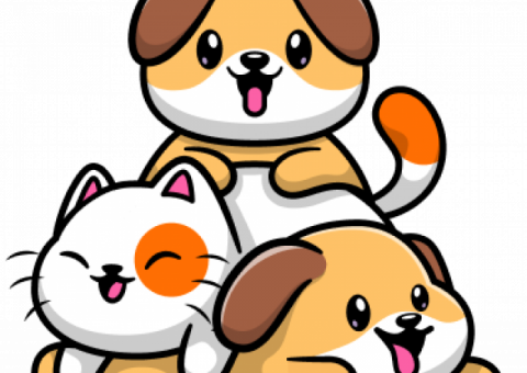 Taking care of your pet and keeping them healthy