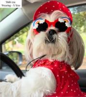 Red Polka Cap for your Handsome puppies