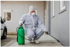 Pest management solutions | Pest control services