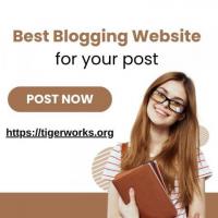 Best Blogging Website for your article submission