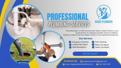 Rogue Plumbers premier plumbing solution