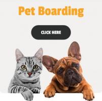 Pet Boarding Services in Delhi by AirPets