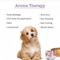 Pet Care Grooming, Trusted Pet Care | Petlogix