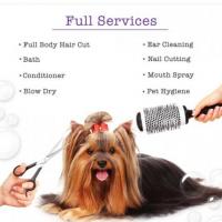 Pet Care Grooming, Trusted Pet Care | Petlogix