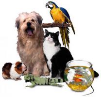 Pet Discount Program – Incredible Savings